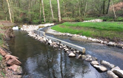 Réaménagement de la prise d'eau de l'étang De Dietrich